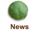 News ニュース