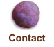 Contact コンタクト